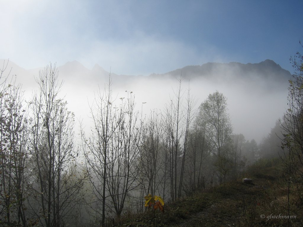 20081026_010